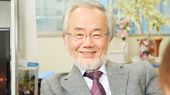 Därför är Yoshinori Ohsumi årets Nobelpristagare i medicin